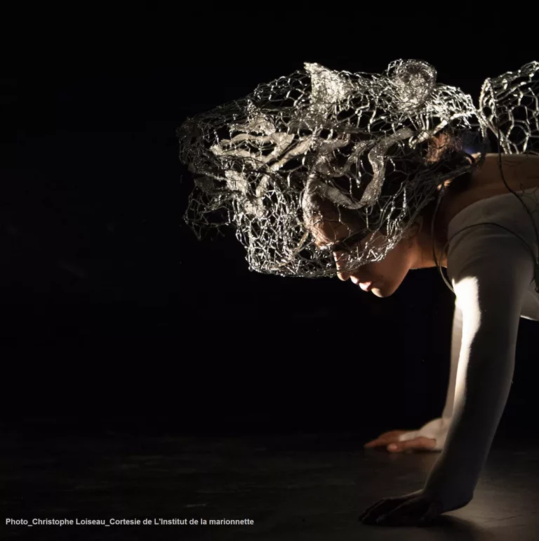 Emballage 9   Lombre du Tigre 1 768x770