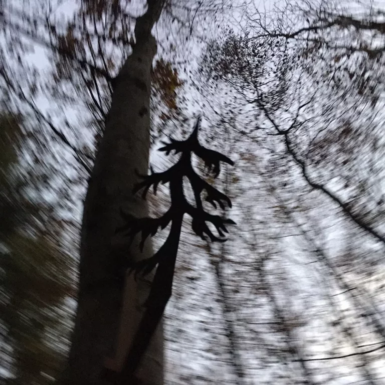 Maria Luchankina Poussière Lunaire 768x768