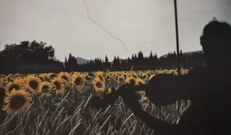 COMPAGNIE ZIA BARET FABRY Suzie Compagnie Zia   Visuel rsidence   723353 768x449