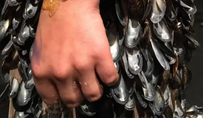 DELTA BERGAMOTE   Visuel rsidence   717447 768x449