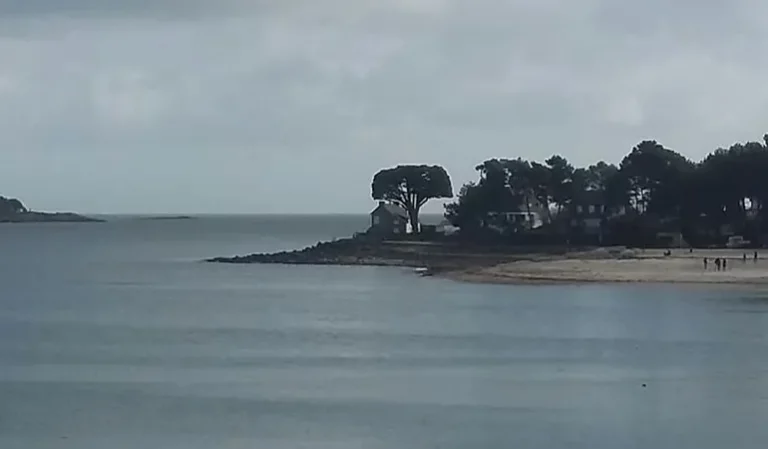 FUGUE 31 GNEOUCHEV Romain Fugue 31   Visuel rsidence   719523 768x449