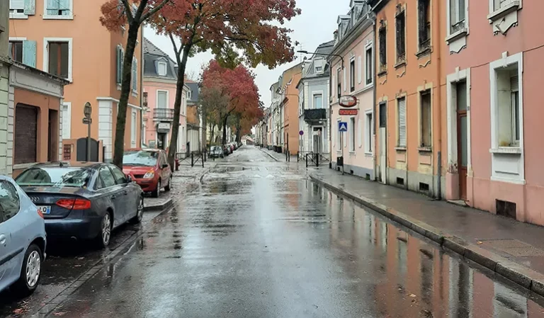 Jacques HERRMANN copie 768x449