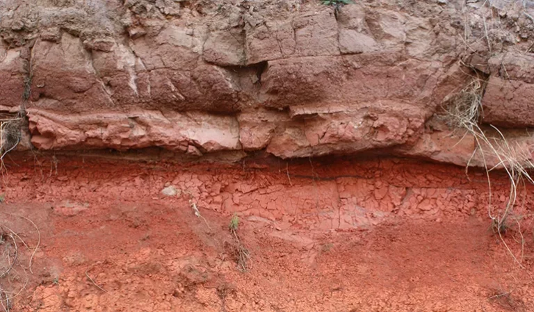 LCHELLE ATELIER GALERIE DTRAUX Kim Lchelle aelier galerie  768x449