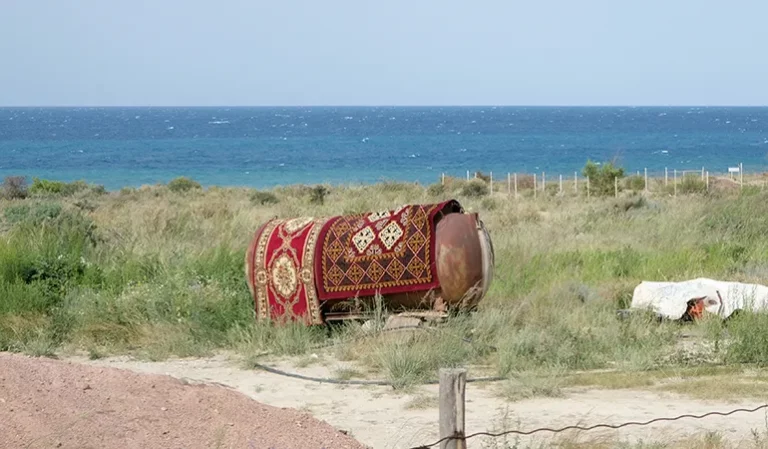 Jamila WALLENTIN 768x449