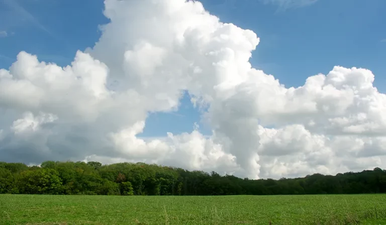 Marion AUGUSTO 768x449