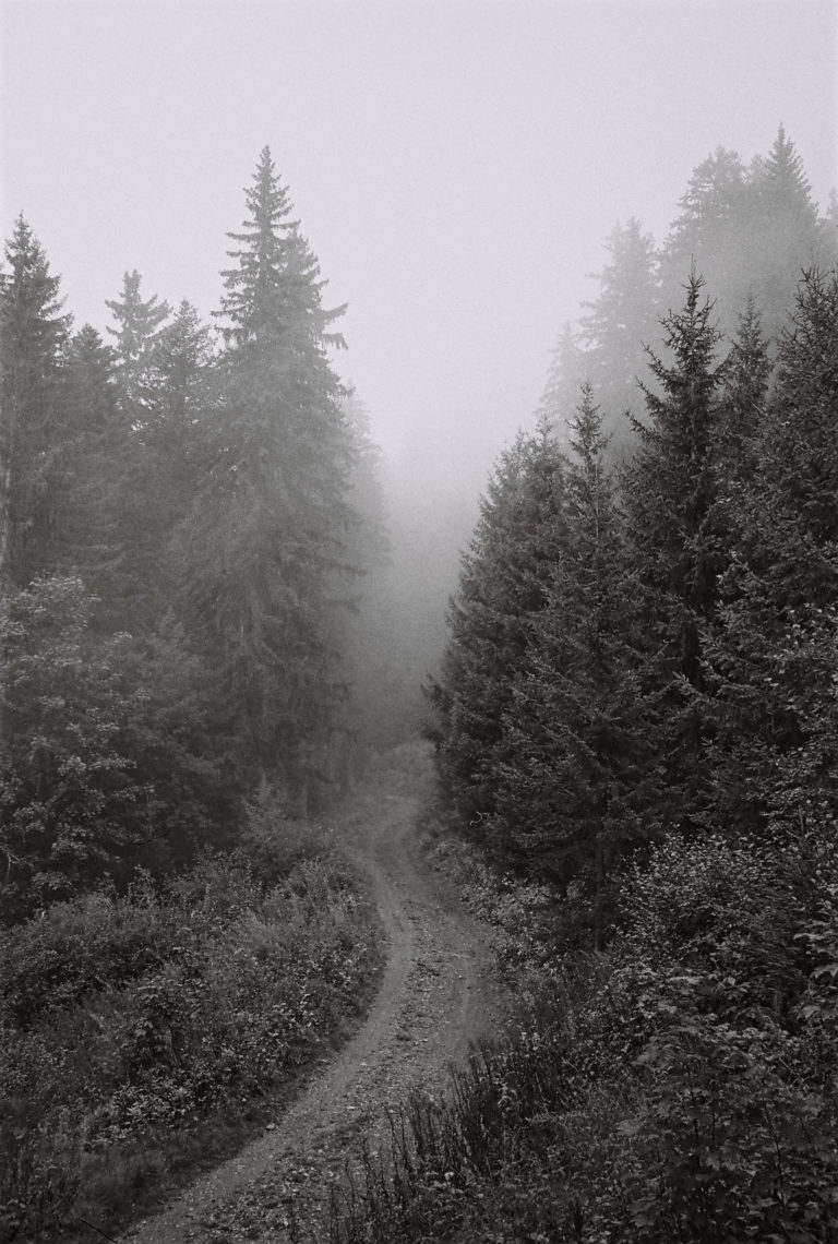 visuel rsidence 16698 20230629230943 3742924 1 768x1140