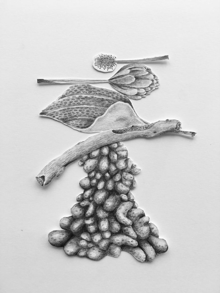 Extrait de dessin collage