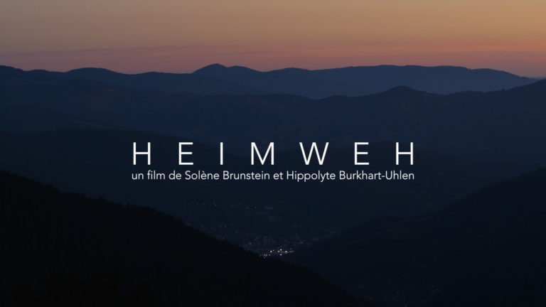 plug article 206980 16698 20231111163957 3833327 768x432