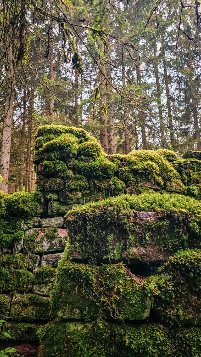 DAUTRY BUrUnice    Visuel rUsidence   1100885 min 768x1365