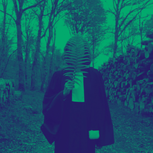 parlement des forêts