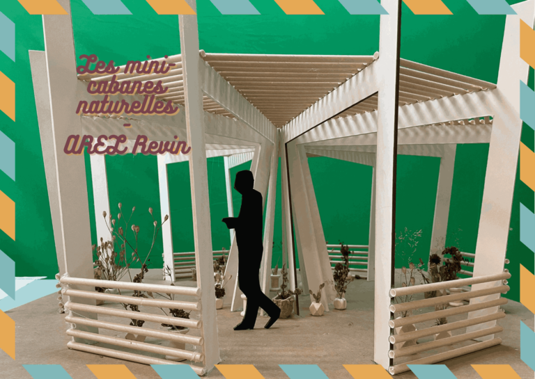 Recto 11zon 10 768x545