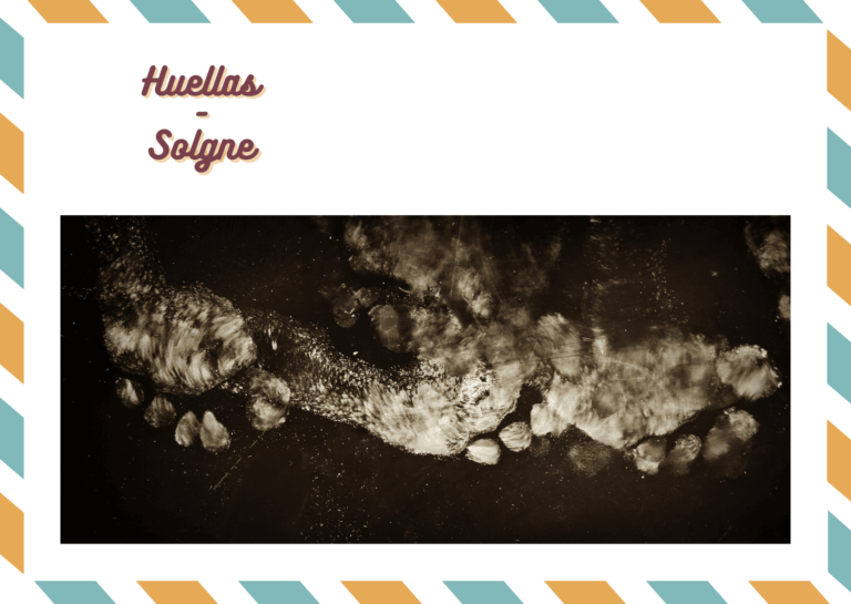 Recto 11zon 5 768x545