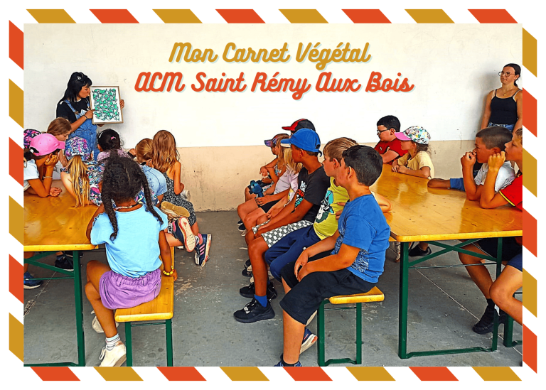 Carnet Vegetal site 768x549