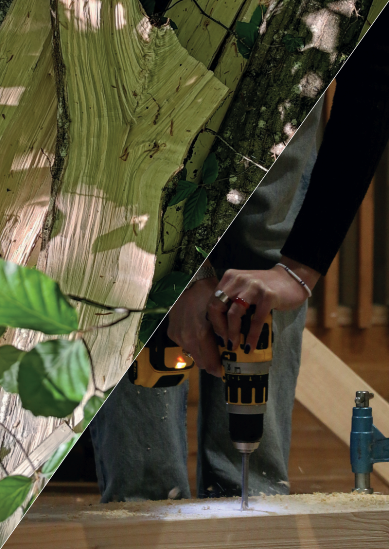 JE ©Leelou Guevel Balbusquier 768x1083