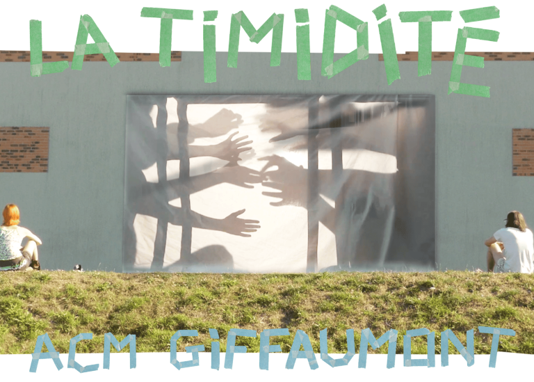 Timidite Site 768x549